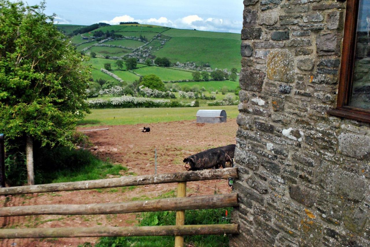 Eco Cottage Joe The Buck Craven Arms Luaran gambar