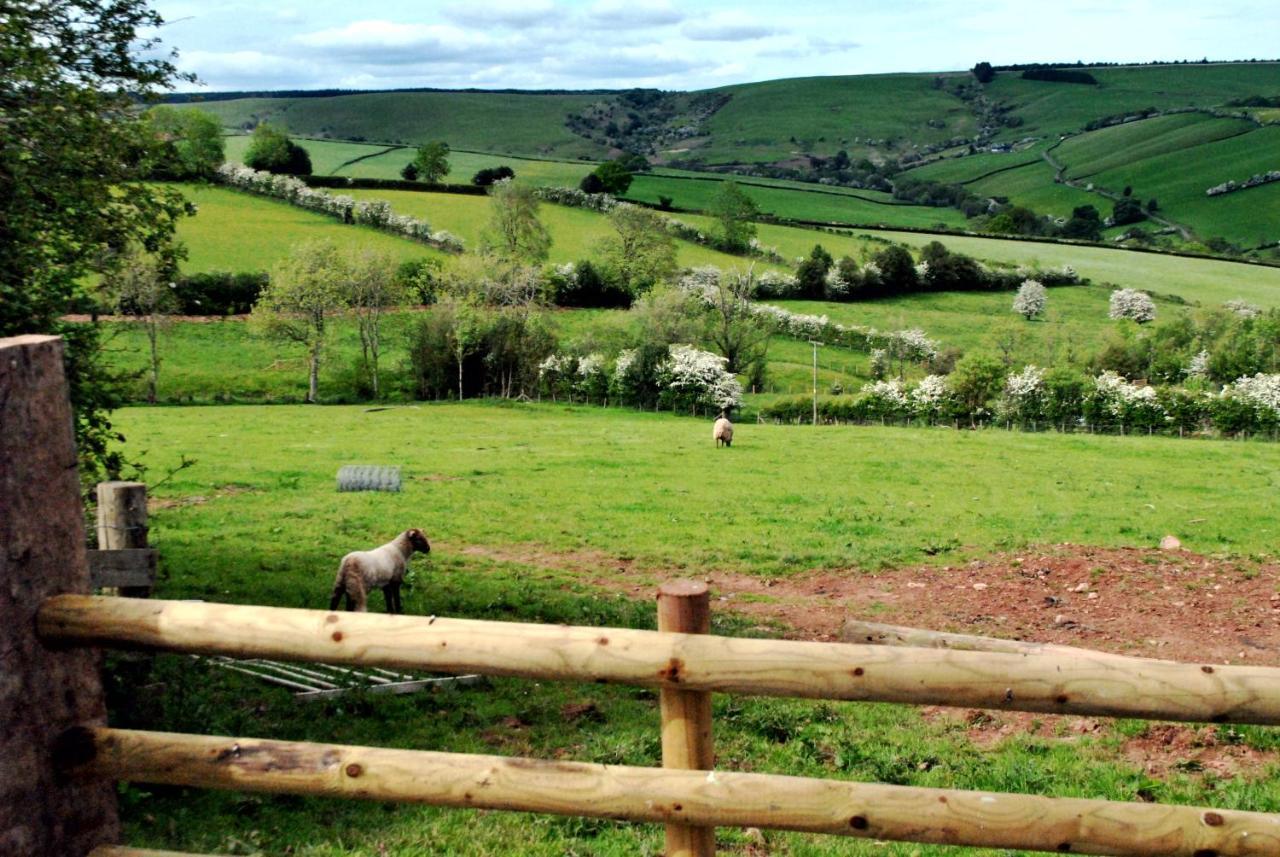 Eco Cottage Joe The Buck Craven Arms Luaran gambar