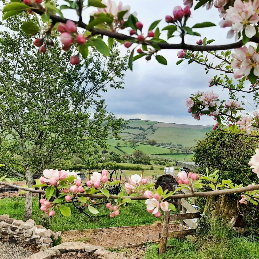 Eco Cottage Joe The Buck Craven Arms Luaran gambar