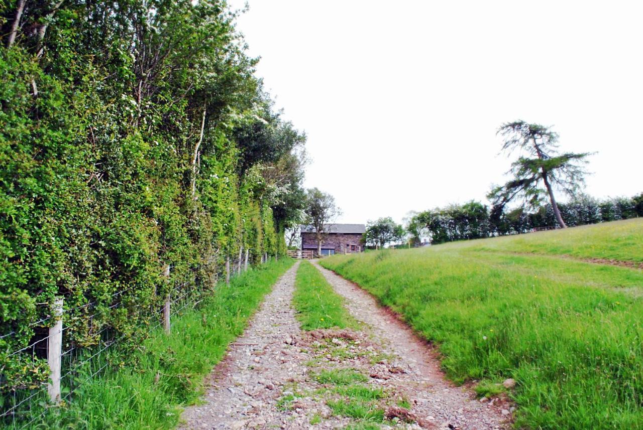 Eco Cottage Joe The Buck Craven Arms Luaran gambar