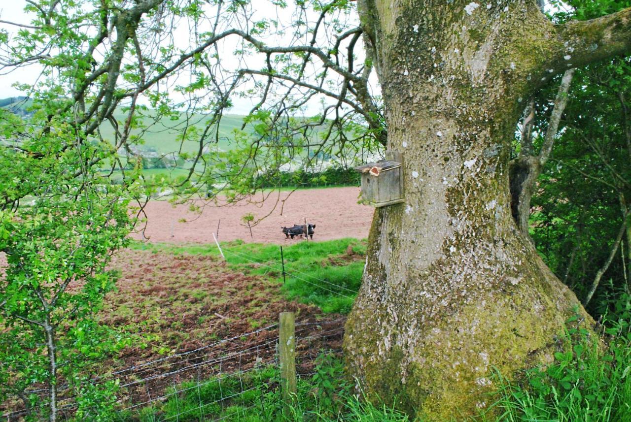 Eco Cottage Joe The Buck Craven Arms Luaran gambar