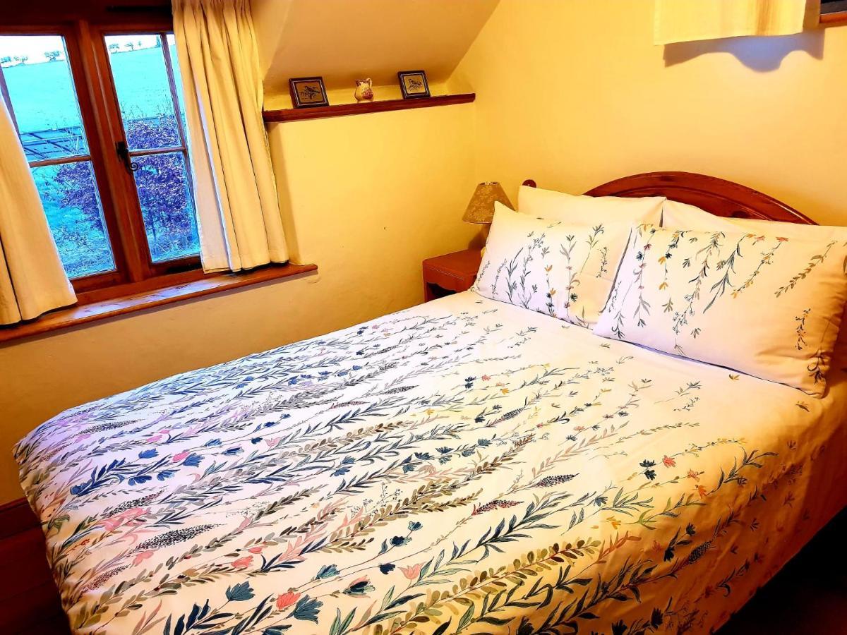 Eco Cottage Joe The Buck Craven Arms Luaran gambar