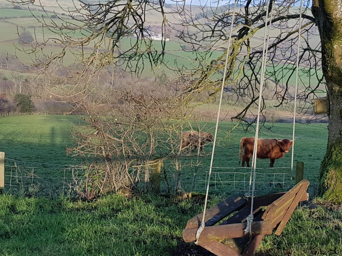 Eco Cottage Joe The Buck Craven Arms Luaran gambar