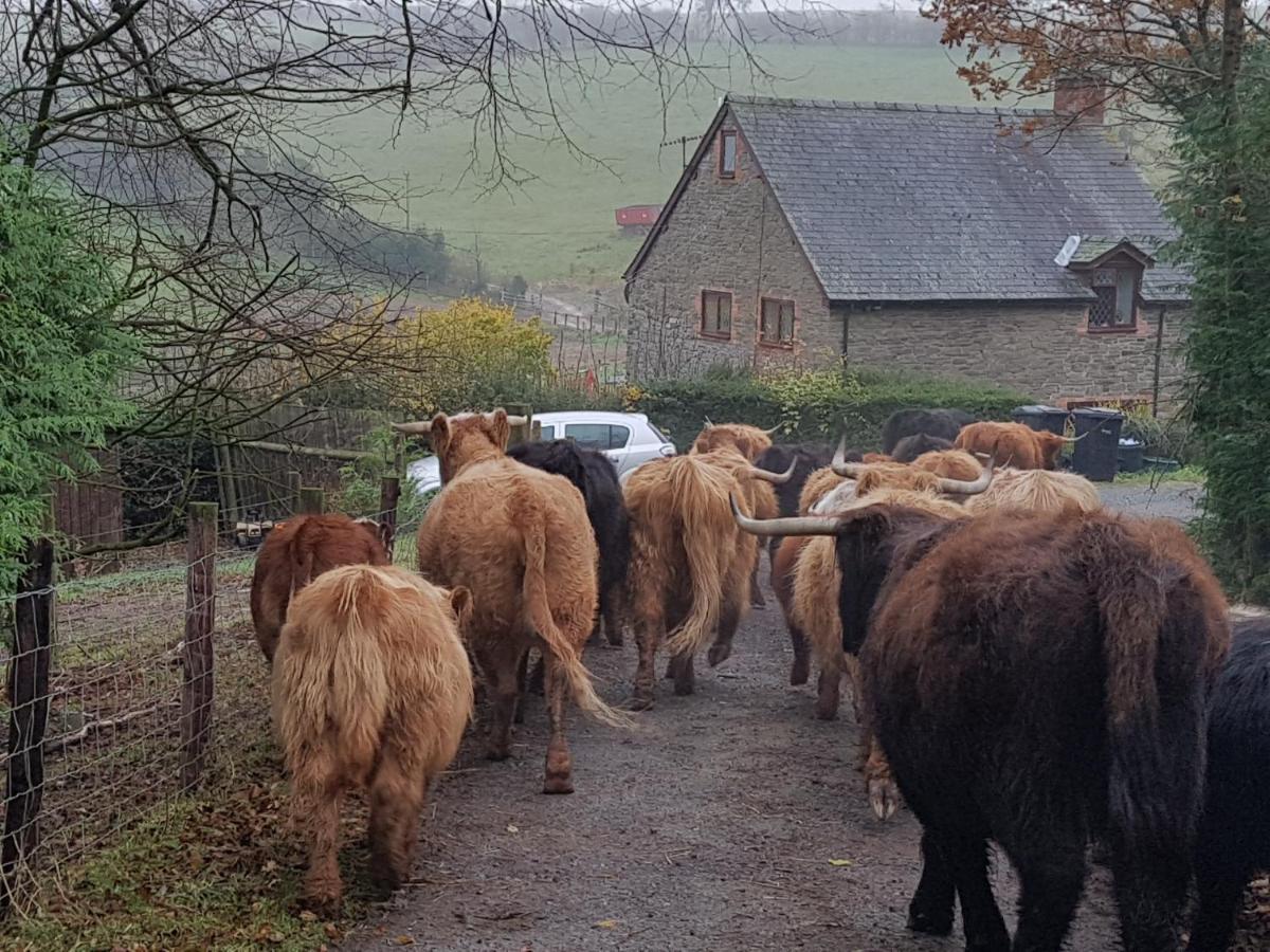 Eco Cottage Joe The Buck Craven Arms Luaran gambar