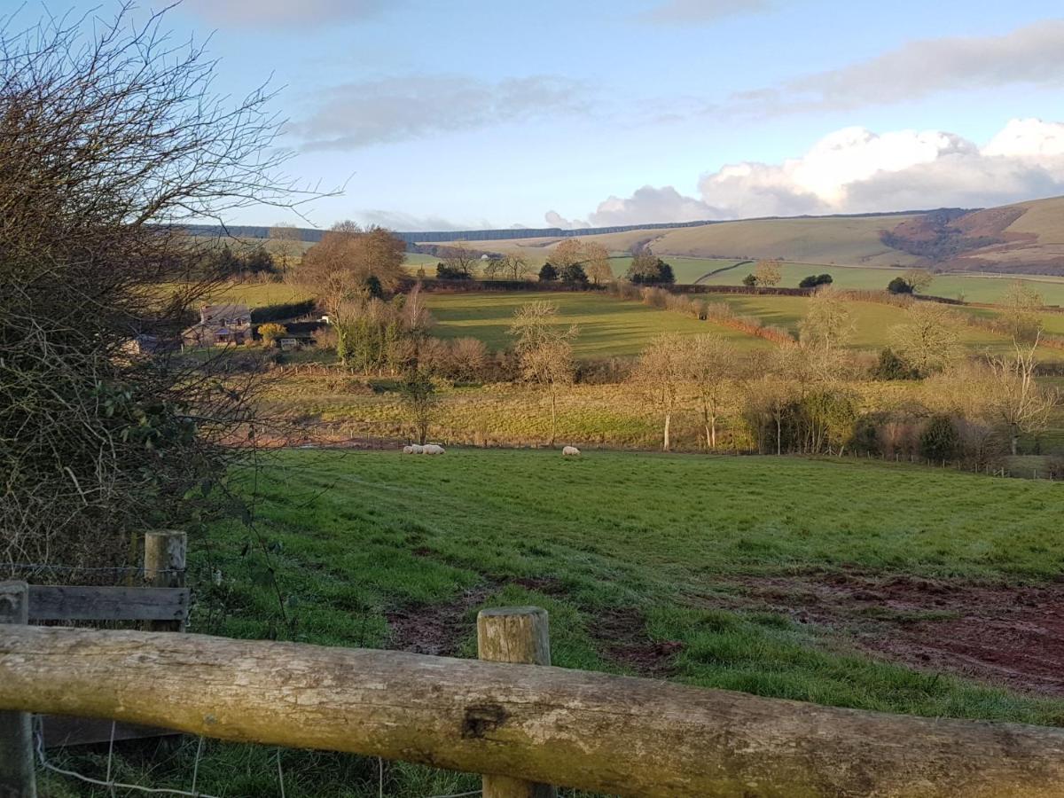 Eco Cottage Joe The Buck Craven Arms Luaran gambar